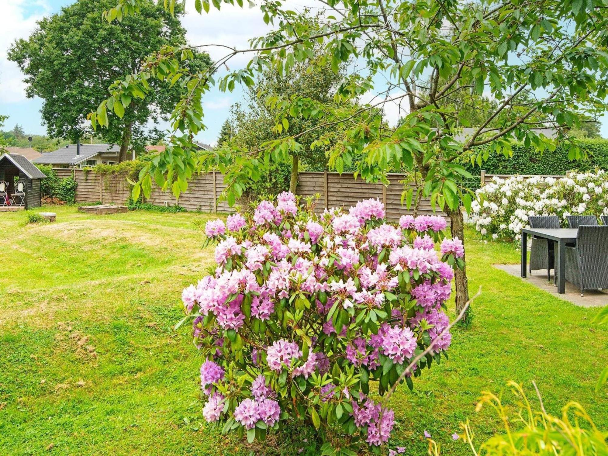 5 Person Holiday Home In B Rkop Egeskov  المظهر الخارجي الصورة